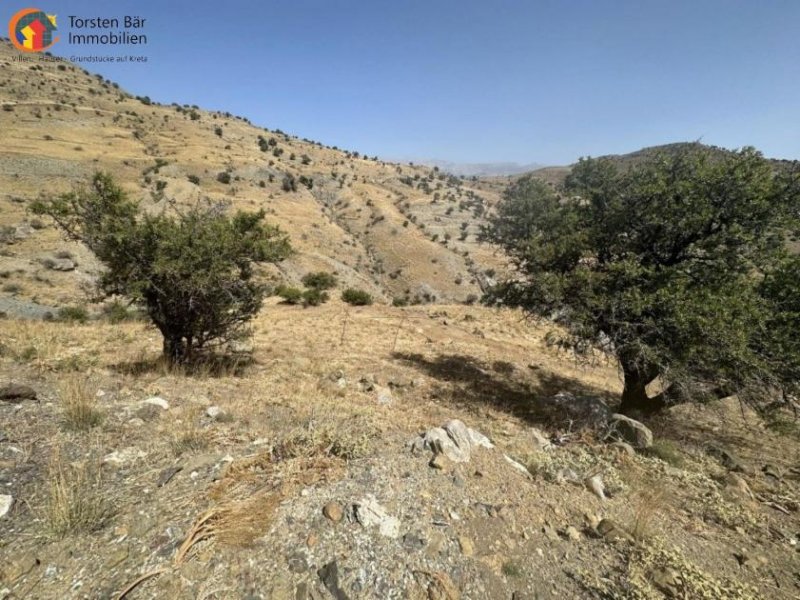 Agia Galini Kreta Agia Galini, eines der letzten Baugrundstücke in Ag. Georgios Grundstück kaufen